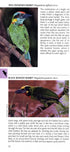 Birds of Java, Sumatra and Bali - Pocket Photo Guide (Tilford) 2017